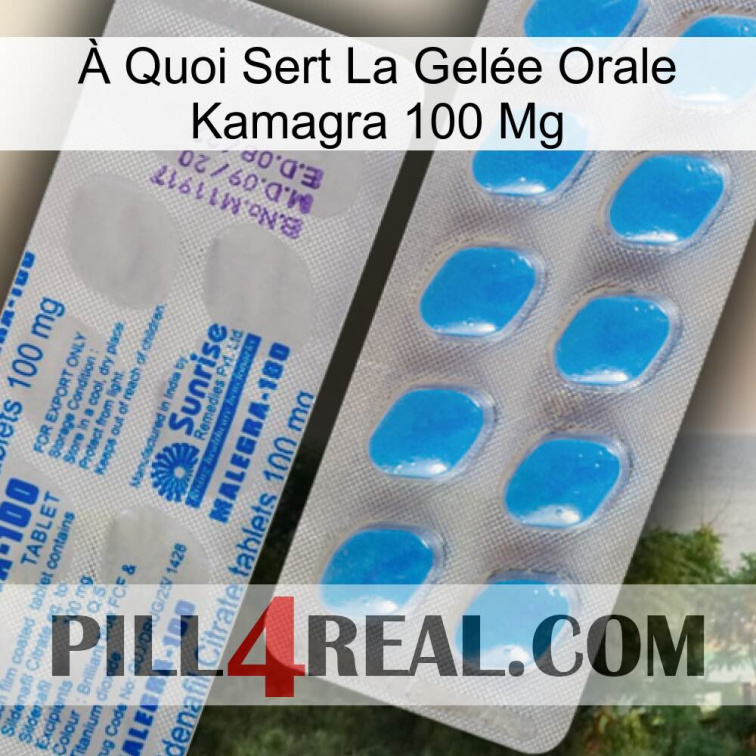À Quoi Sert La Gelée Orale Kamagra 100 Mg new15